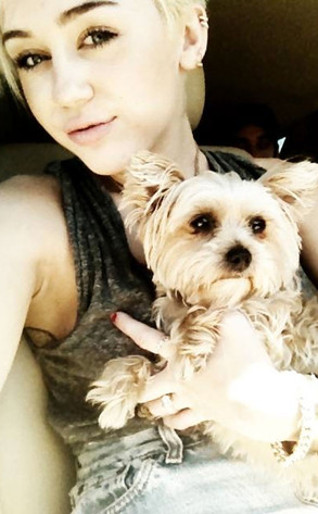 Miley Cyrus Miley Cyrus